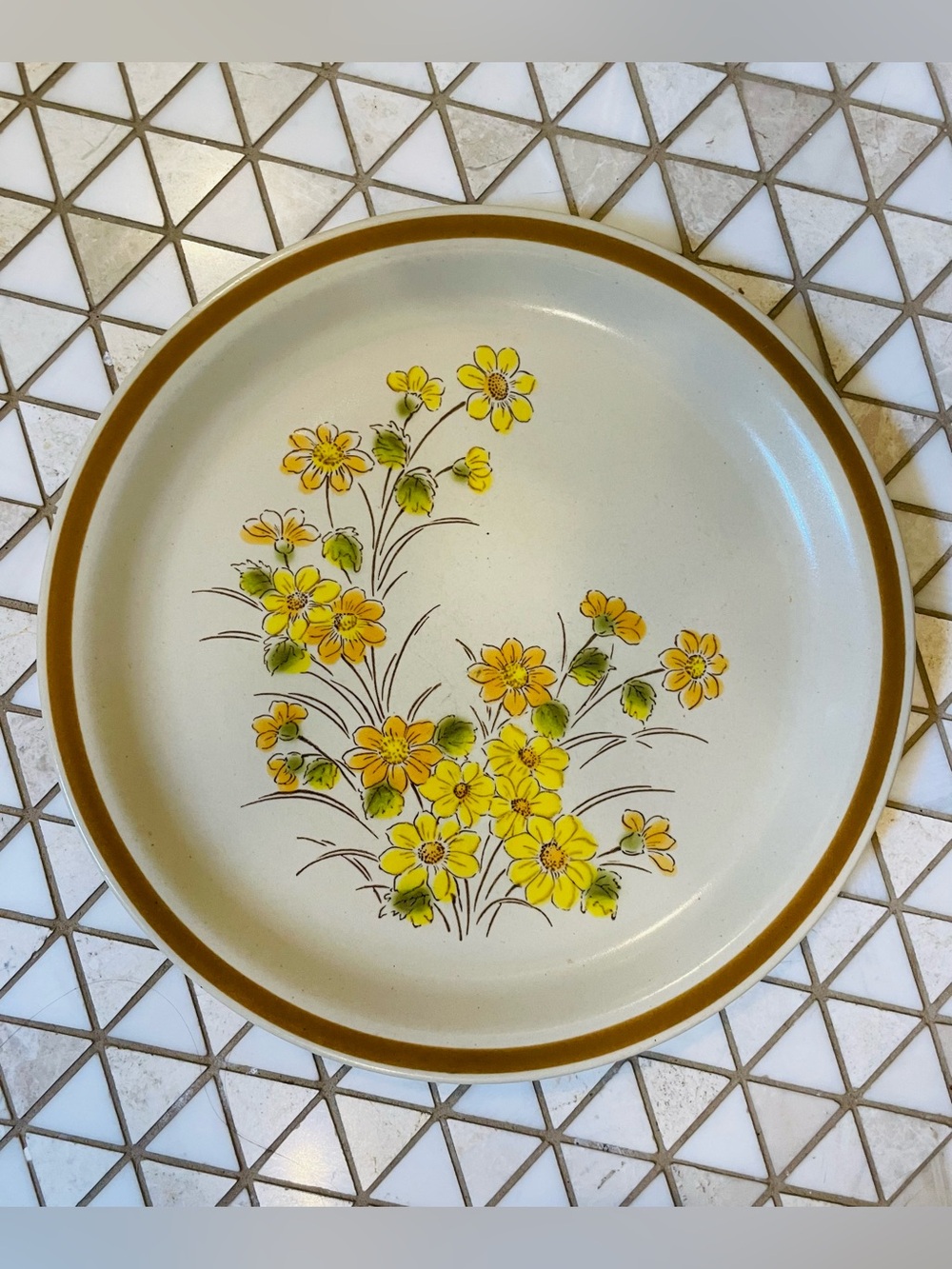Vintage Ekco Eterna Somerville Dinner Plate Stoneware Made in Japan Floral